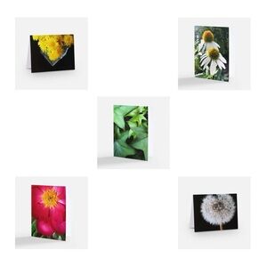 🌺 set of five cards